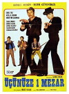 Üçünüze bir mezar (1971)