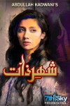 Shehr-e-Zaat (2012)