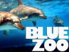 Blue Zoo (2014)