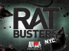 Rat Busters NYC (2011)