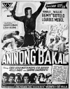Aninong bakal (1963)