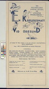 En kärleksnatt vid Öresund (1931)