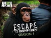 Escape to Chimp Eden (2008)