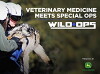 Wild Ops (2017)