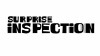 Surprise Inspection (2009)