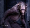 Dog Soldiers: Legacy (2011)