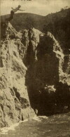 A Lass of the Lumberlands (1916)
