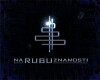 Na rubu znanosti (2002)