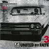 United by Fate 3 (2008)