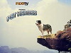 Pet Heroes (2010)