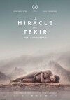 The Miracle of Tekir (2015)