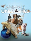 Animals Unleashed (2016)