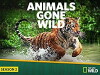 Animals Gone Wild (2014)