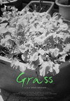 Grass (2018)