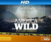 America the Wild (2013)