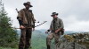 Kings of the Wild (2015)