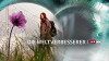 Die Weltverbesserer (2016)