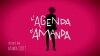 L'agenda d'Amanda (2015)