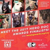 2017 Hero Dog Awards (2017)