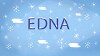 Edna's Adventures (2018)