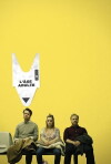 L'Âge adulte (2017)