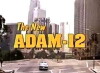 The New Adam-12 (1989)