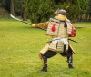 Ancient Assassins (2016)
