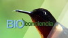 Bioconciencia (2016)