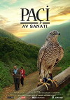 Paçi: Av sanati (2016)