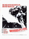Flash Light (1970)