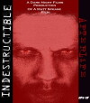 Indestructible: Afterlife (2018)
