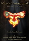 Miracle Underground (2016)