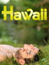 Hawaii (2013)