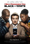 I Now Pronounce You Black and White (2010)