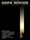 Forbidden Attraction (2010)