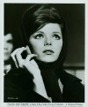 Young and Willing (1962)