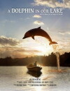A Dolphin in Our Lake (2018)