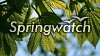 Springwatch (2005)