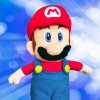 Super Mario Logan (2007)