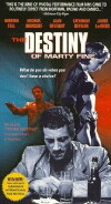 The Destiny of Marty Fine (1996)