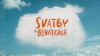 Svatby v Benátkách (2014)