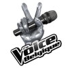 The Voice Belgique (2011)