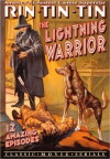 The Lightning Warrior (1931)