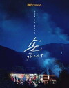 The Guest (2018)
