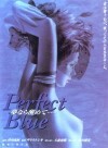 Perfect Blue: Yume Nara Samete (2002)