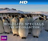 Wildlife Specials: The Spy Collection (2007)