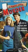 A Quiet Little Neighborhood, a Perfect Little Murder (1990)