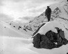 The Warrior (1916)