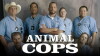 Animal Cops: Houston (2003)