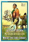 Where the Trail Divides (1914)